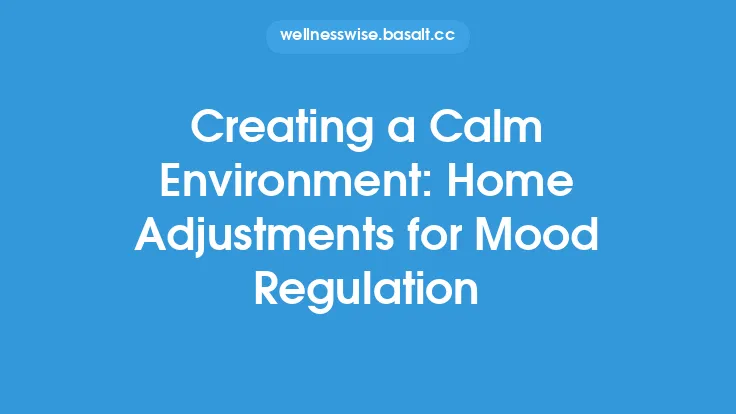 Creating a Calm Environment: Home Adjustments for Mood Regulation Thumbnail