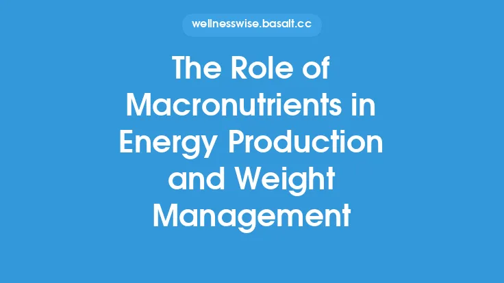 The Role of Macronutrients in Energy Production and Weight Management Thumbnail