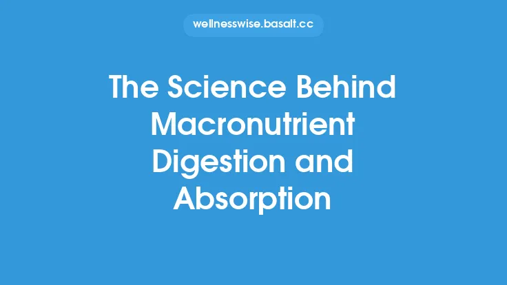 The Science Behind Macronutrient Digestion and Absorption Thumbnail