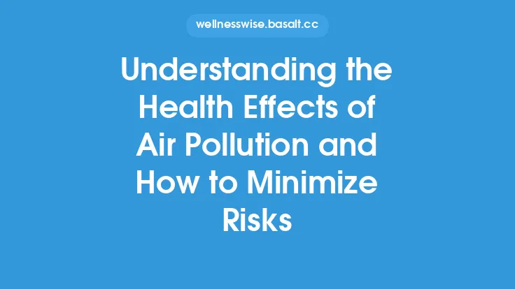 Understanding the Health Effects of Air Pollution and How to Minimize Risks Thumbnail